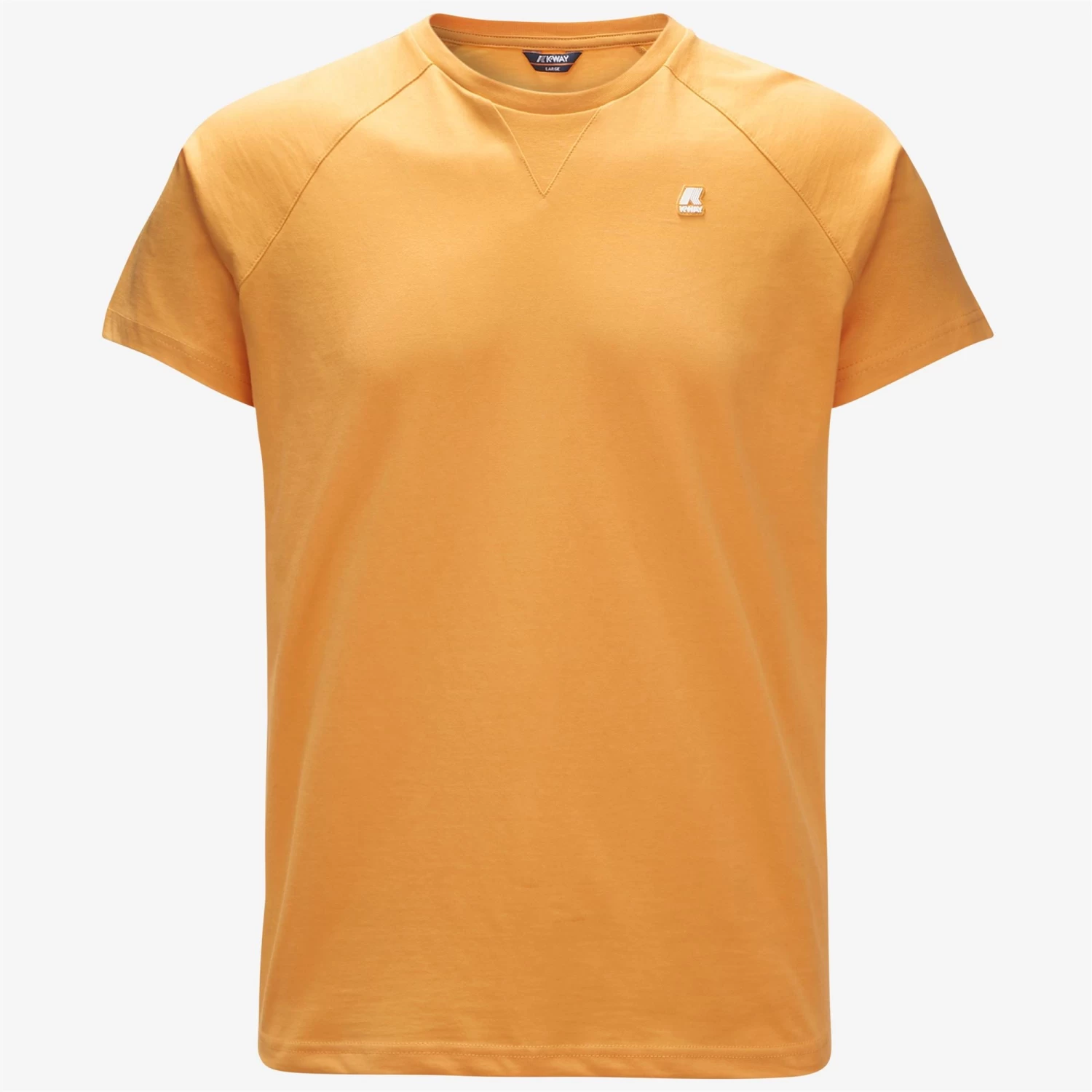 EDWING - T-ShirtsTop - T-Shirt - Man - YELLOW LT JURASSIC