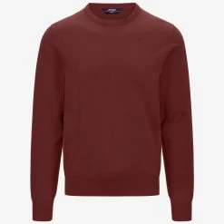 SEBASTIEN COTTON PS - KNITWEAR - PullOver - Man - BROWN FIERY